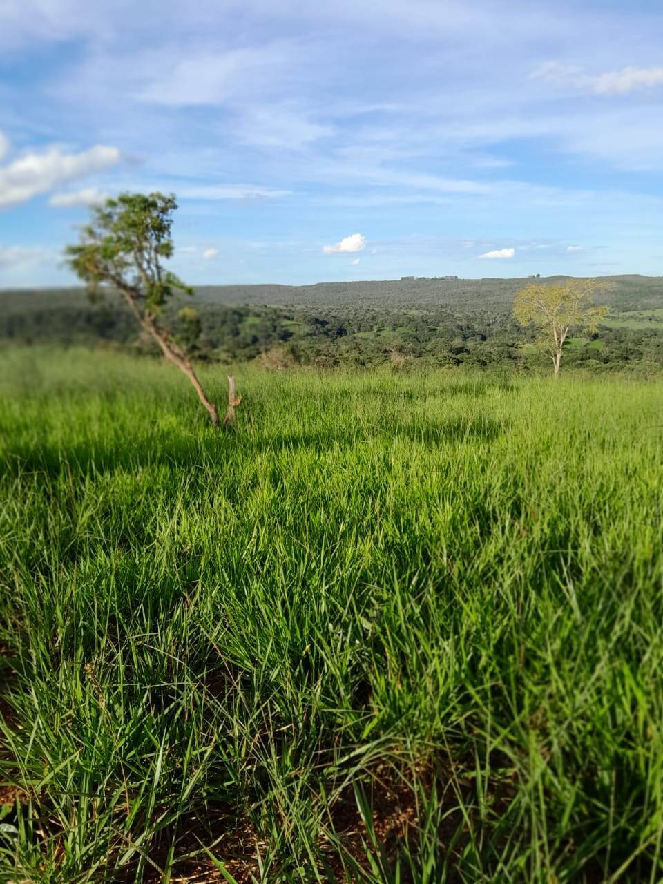 #369 - Fazenda para Venda em Pires do Rio - GO