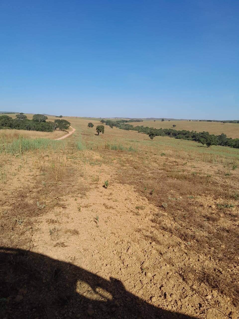 #371 - Fazenda para Venda em Ipameri - GO