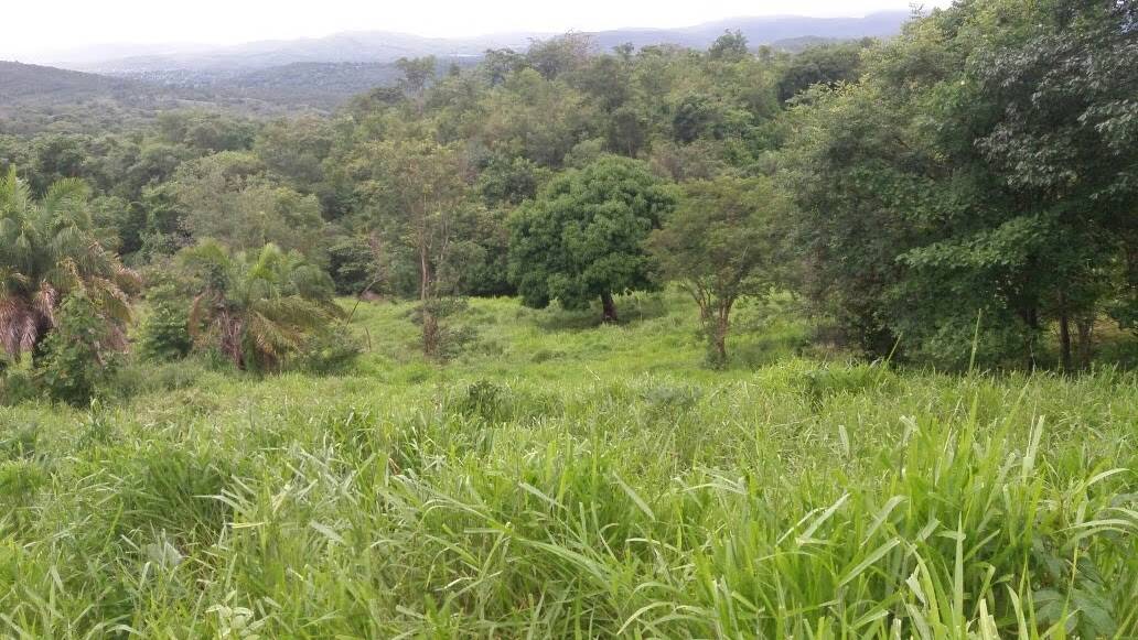 #375 - Fazenda para Venda em Faina - GO