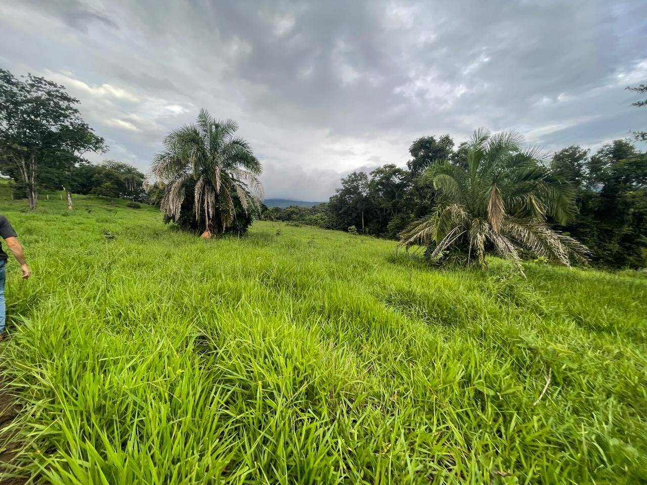 #376 - Fazenda para Venda em Goiás - GO