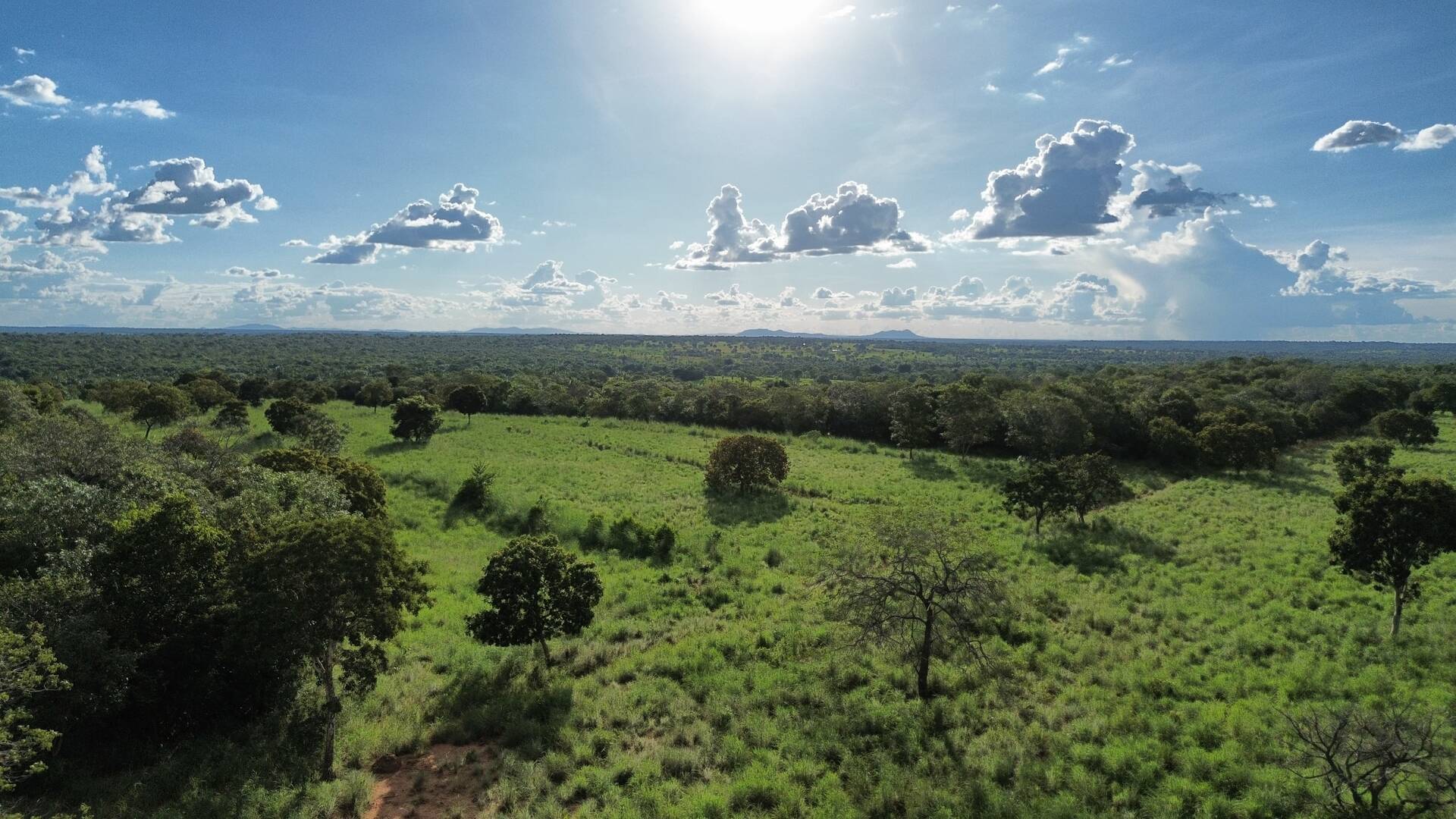 #379 - Fazenda para Venda em Formoso - GO