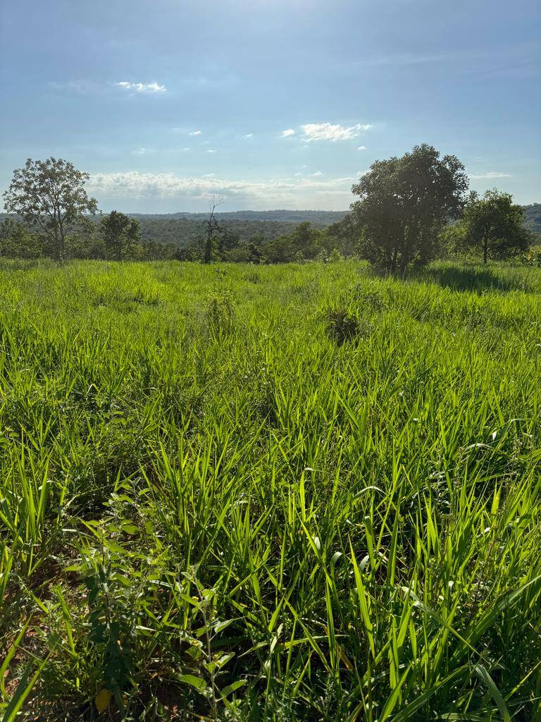 #383 - Fazenda para Venda em Barra do Garças - MT