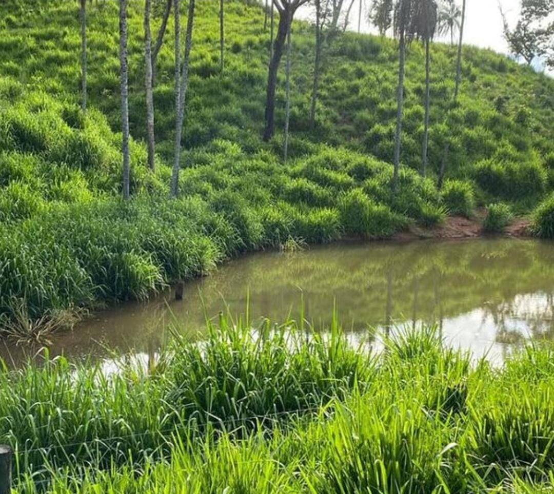 #384 - Fazenda para Venda em Campinaçu - GO