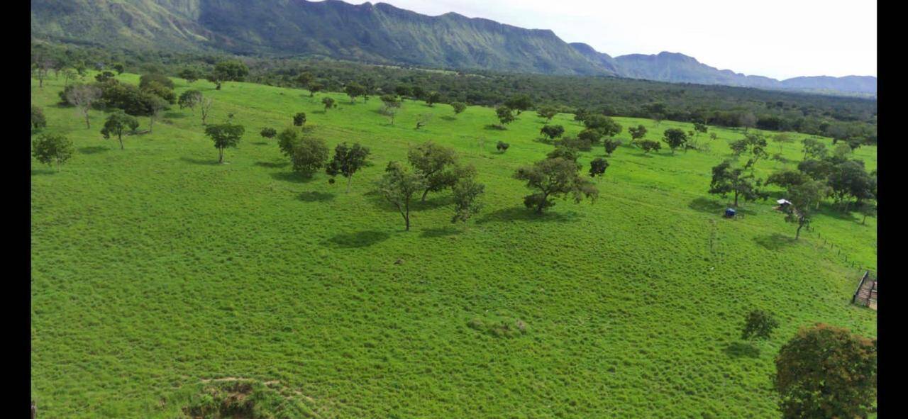 #397 - Fazenda para Venda em Colinas do Sul - GO