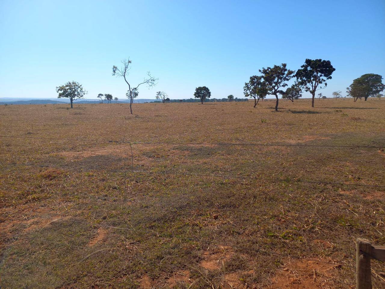 #399 - Fazenda para Venda em Anápolis - GO