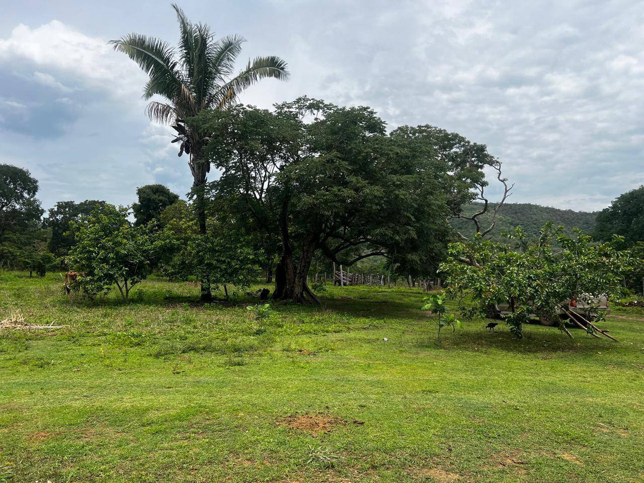 #412 - Fazenda para Venda em Uruaçu - GO