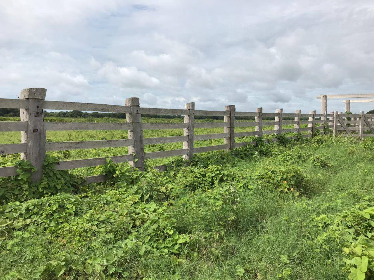#415 - Fazenda para Venda em Poconé - MT