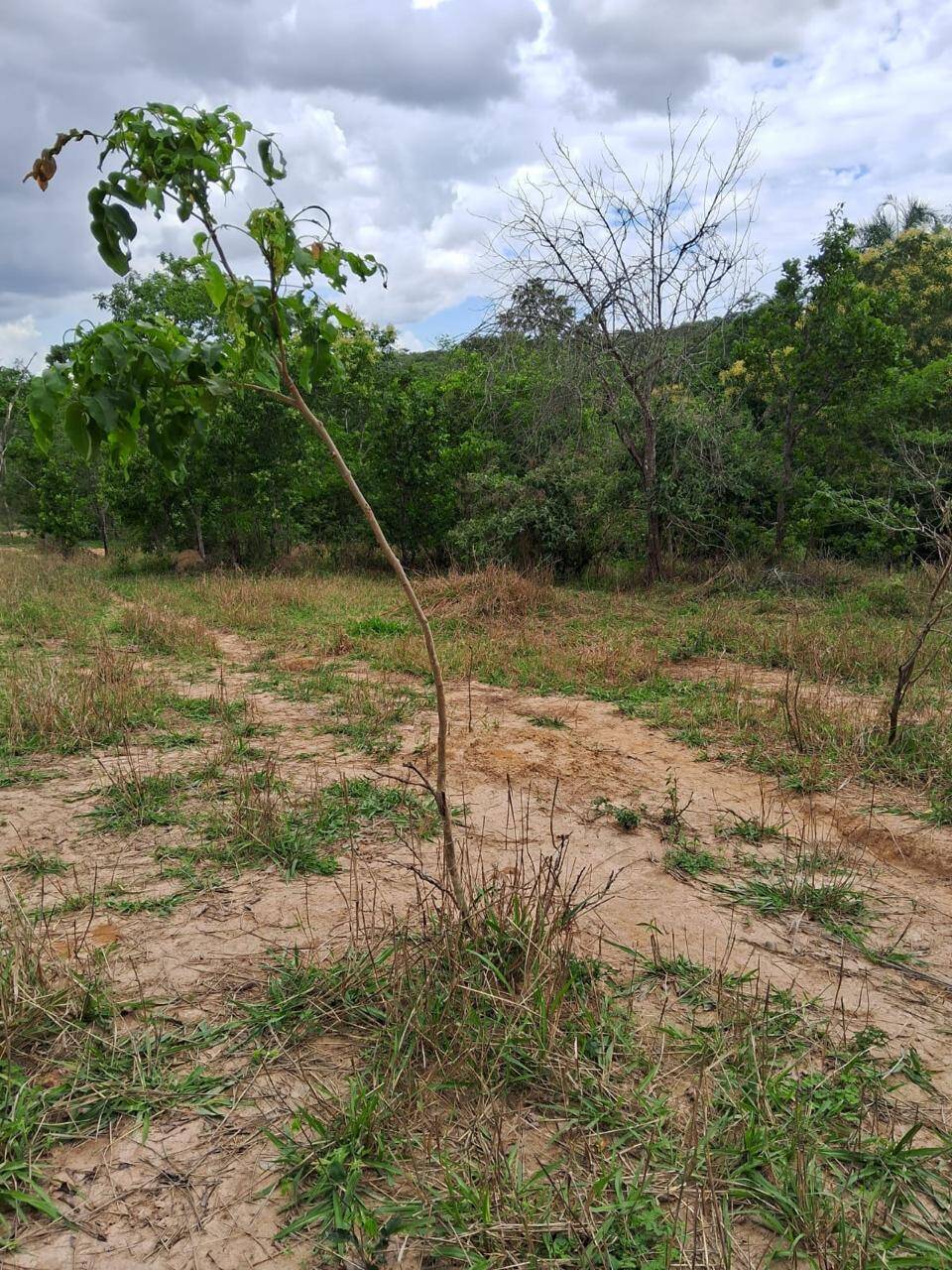 #416 - Fazenda para Venda em Caldas Novas - GO