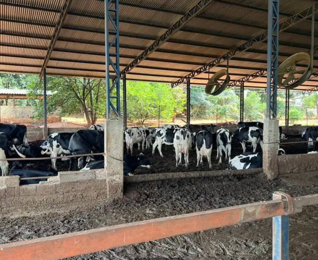#420 - Fazenda para Venda em Goiânia - GO