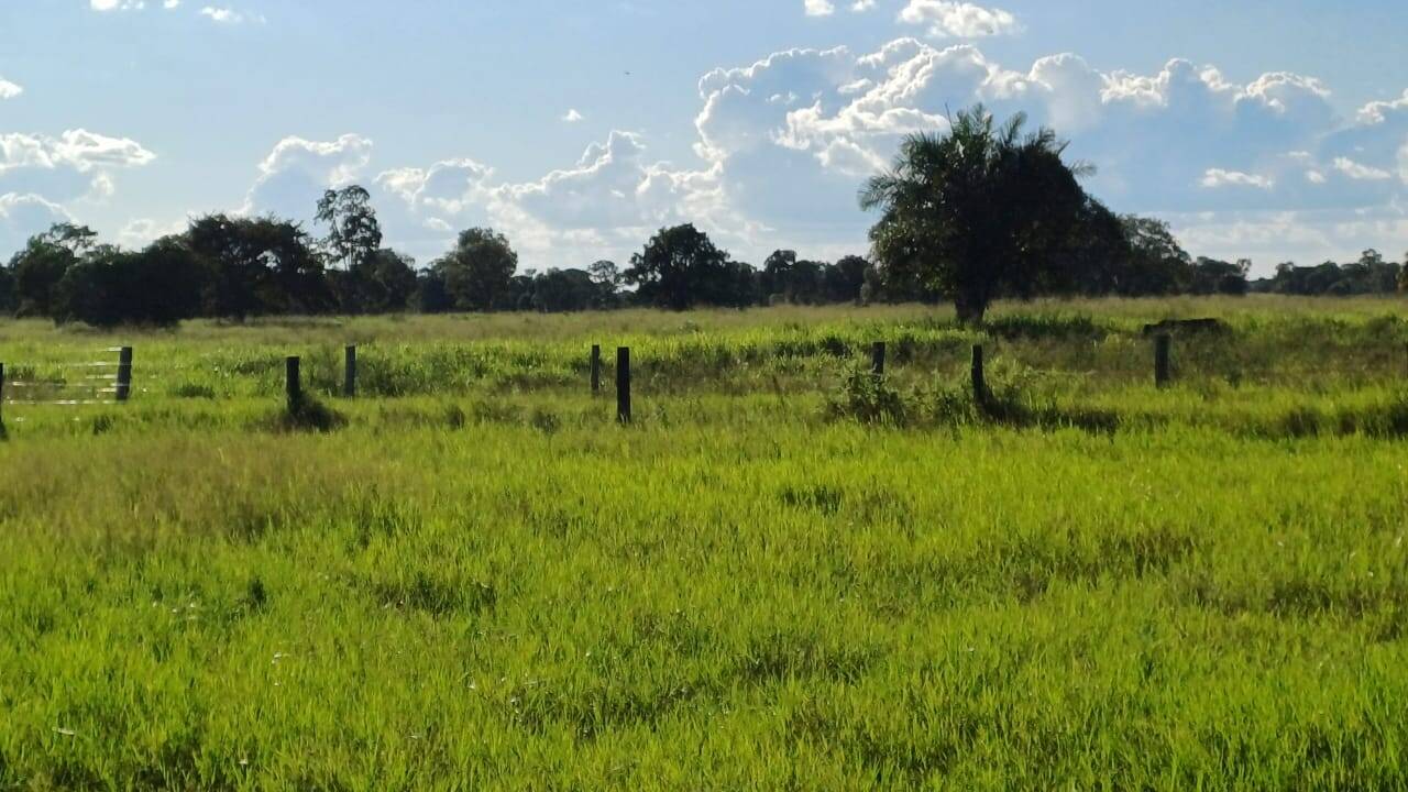 #464 - Fazenda para Venda em Formoso do Araguaia - TO