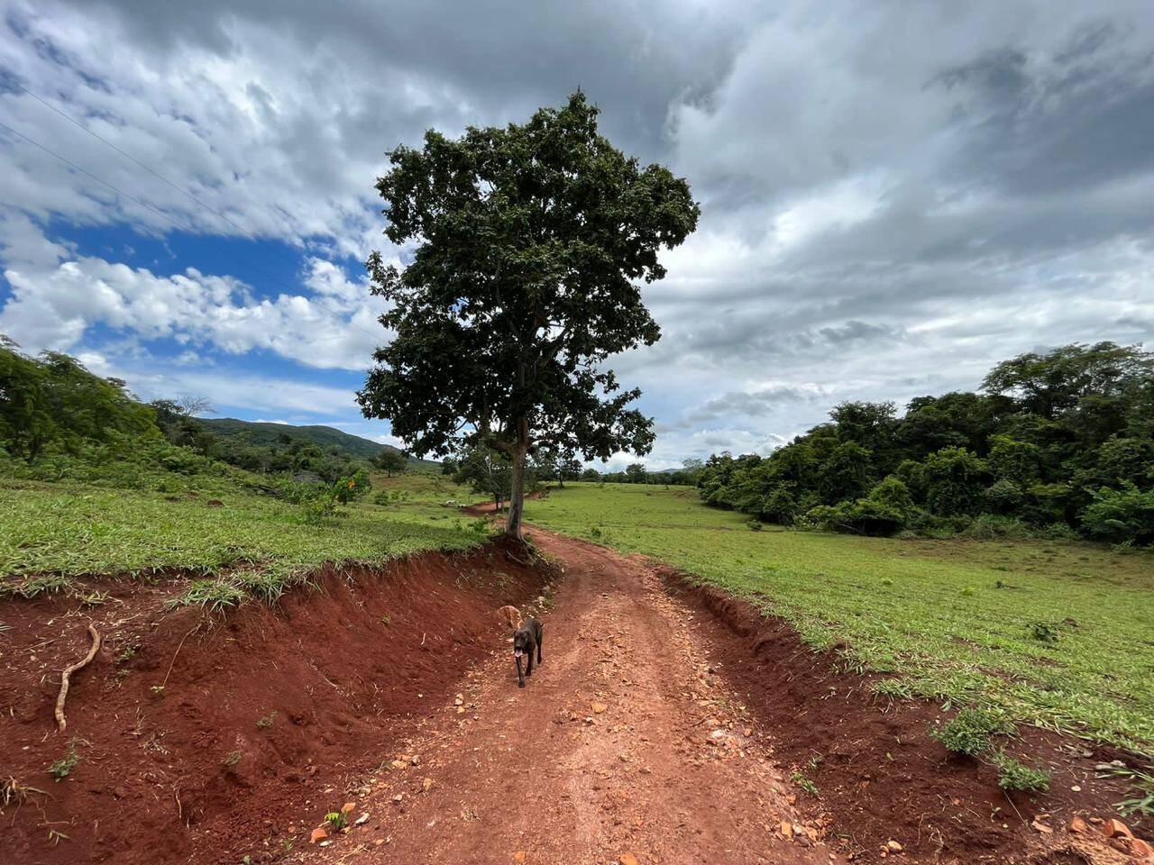 #485 - Fazenda para Venda em Barro Alto - GO