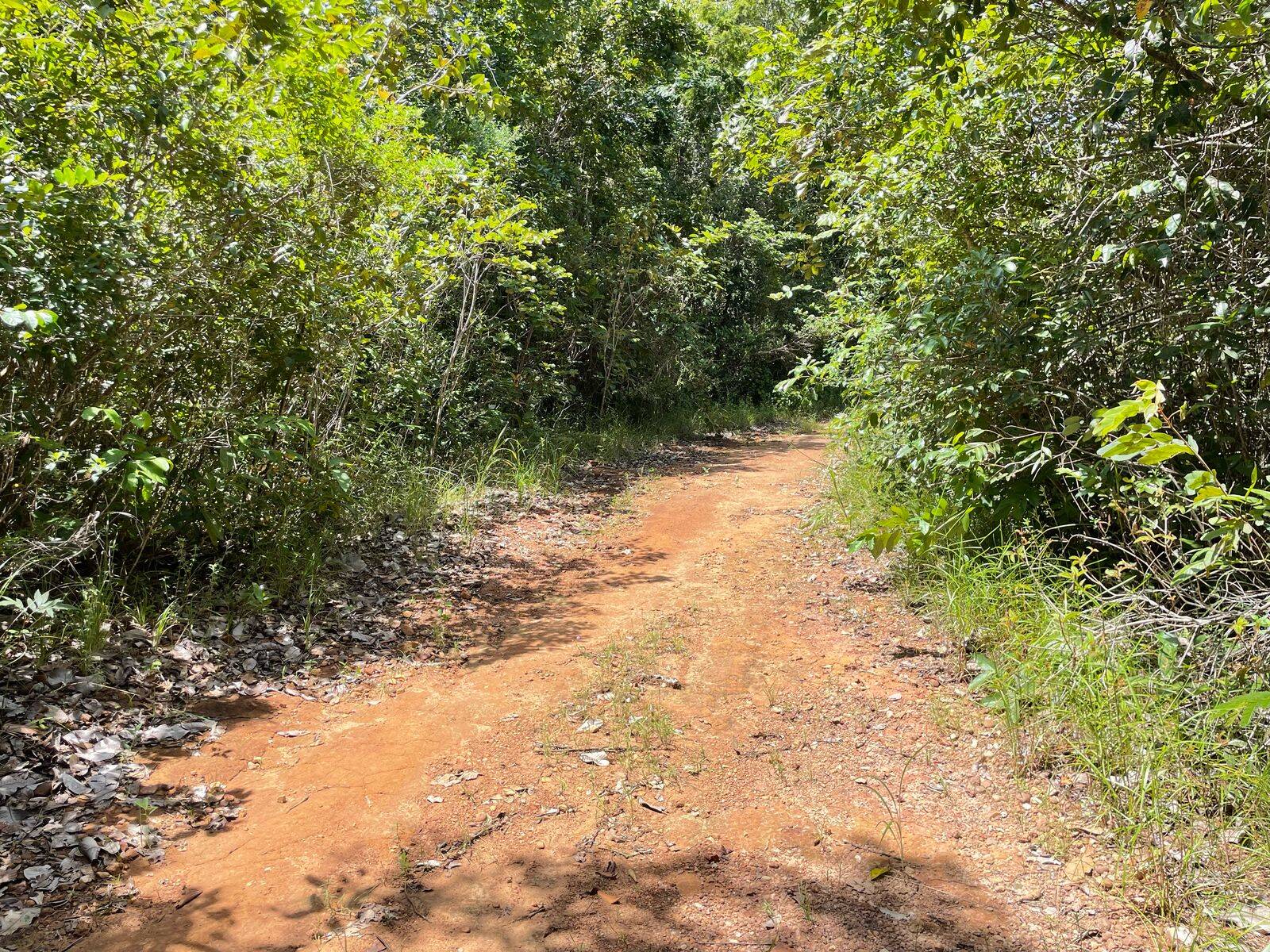 #490 - Fazenda para Venda em Uruaçu - GO