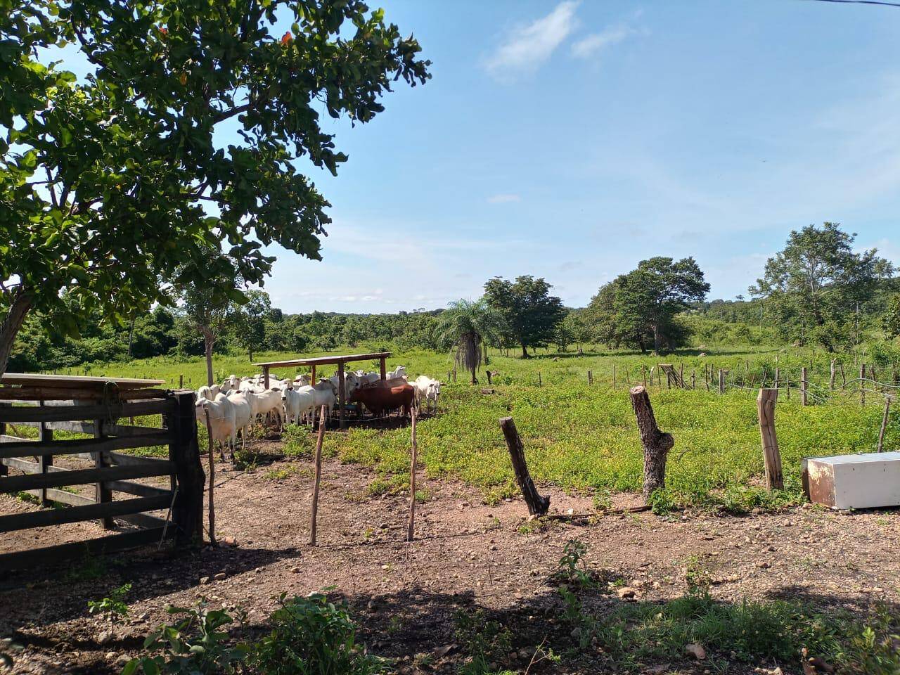 #506 - Fazenda para Venda em Natividade - TO