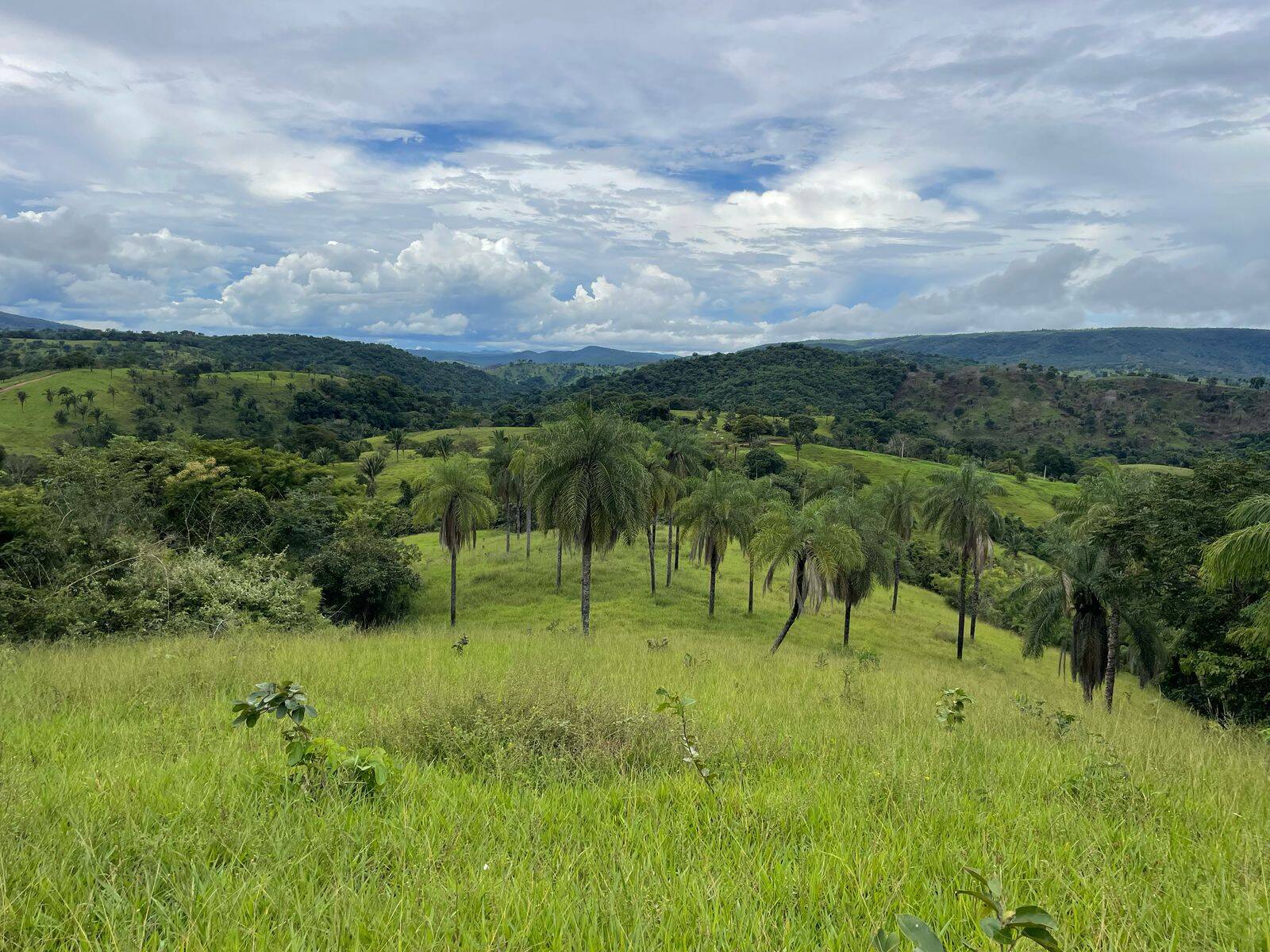 #519 - Fazenda para Venda em Formoso - GO