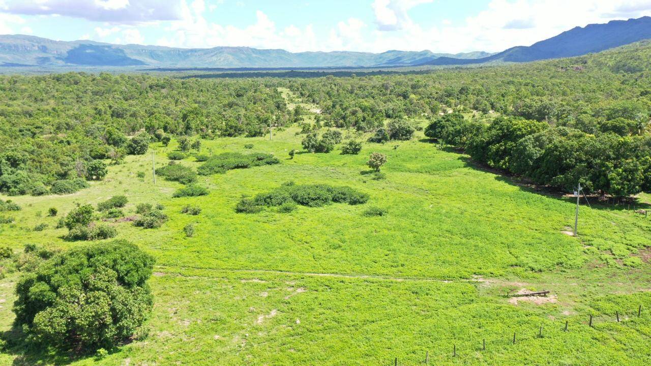 #539 - Fazenda para Venda em Paranã - TO