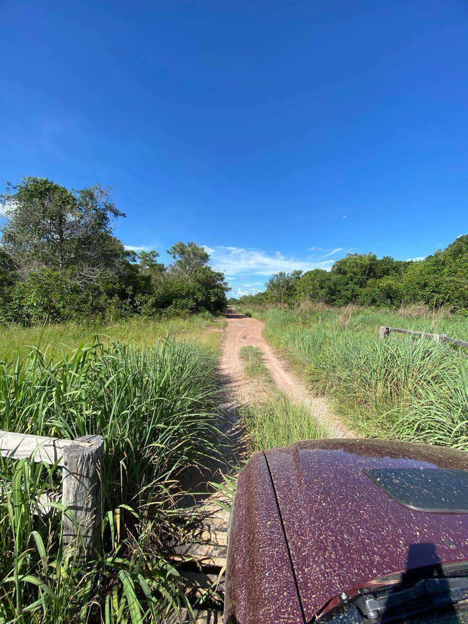 #550 - Fazenda para Venda em Cocalinho - MT