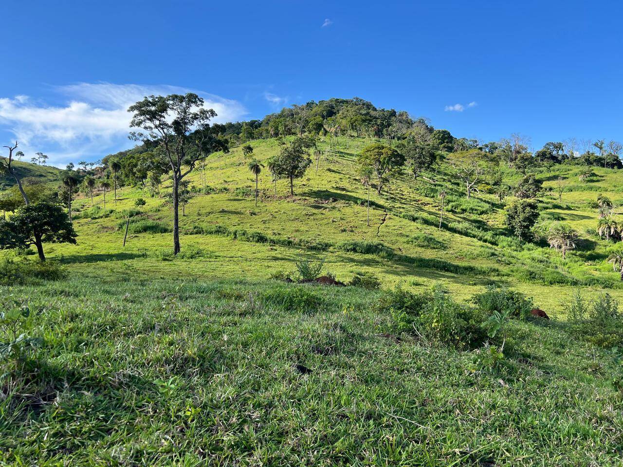 #555 - Fazenda para Venda em Rialma - GO