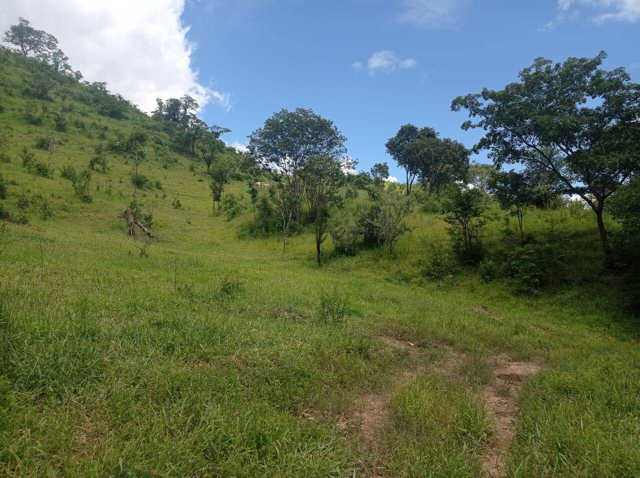 #563 - Fazenda para Venda em Niquelândia - GO