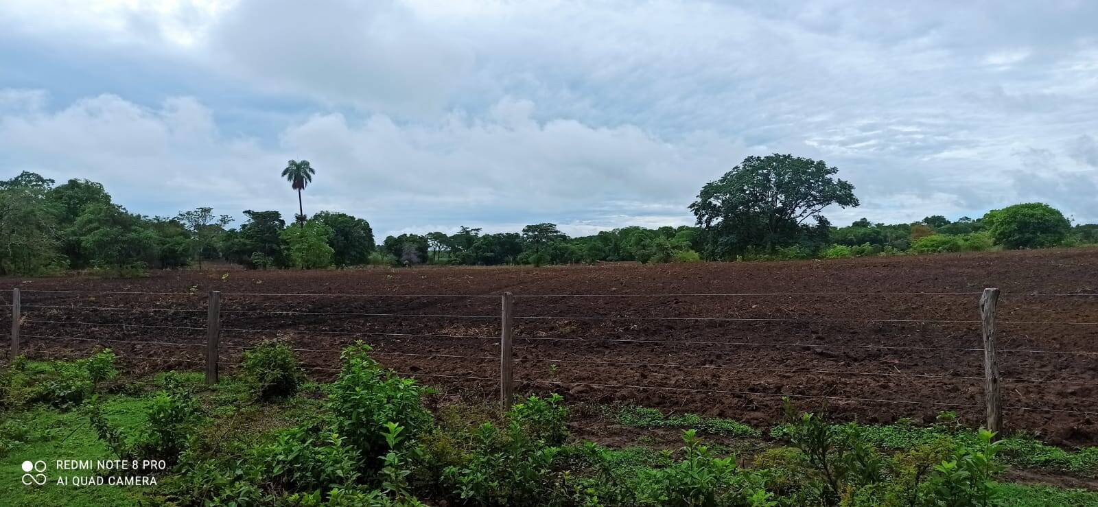#579 - Fazenda para Venda em São João d`Aliança - GO