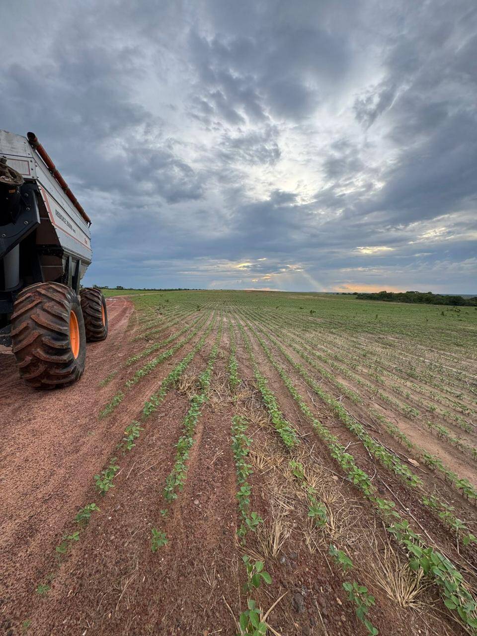 #581 - Fazenda para Venda em Palmas - TO