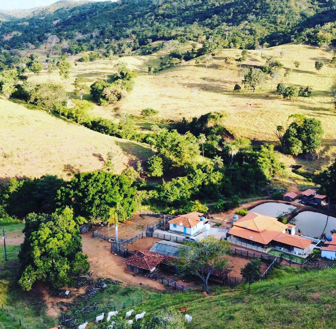#605 - Fazenda para Venda em Santa Cruz de Goiás - GO