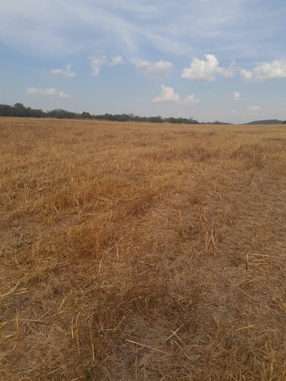 #607 - Fazenda para Venda em Santa Cruz de Goiás - GO
