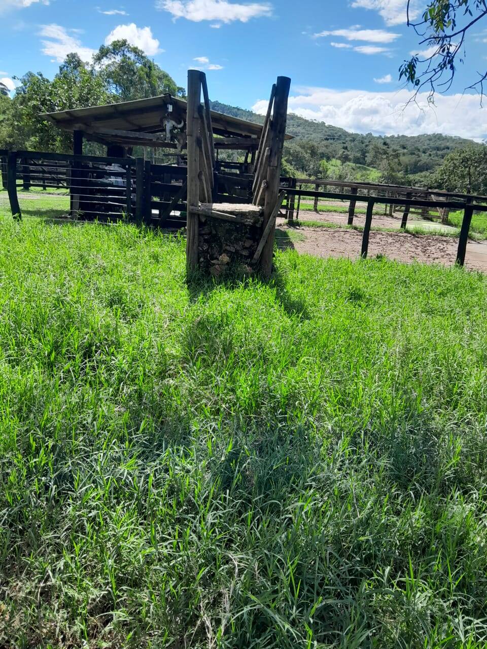 #608 - Fazenda para Venda em Pires do Rio - GO