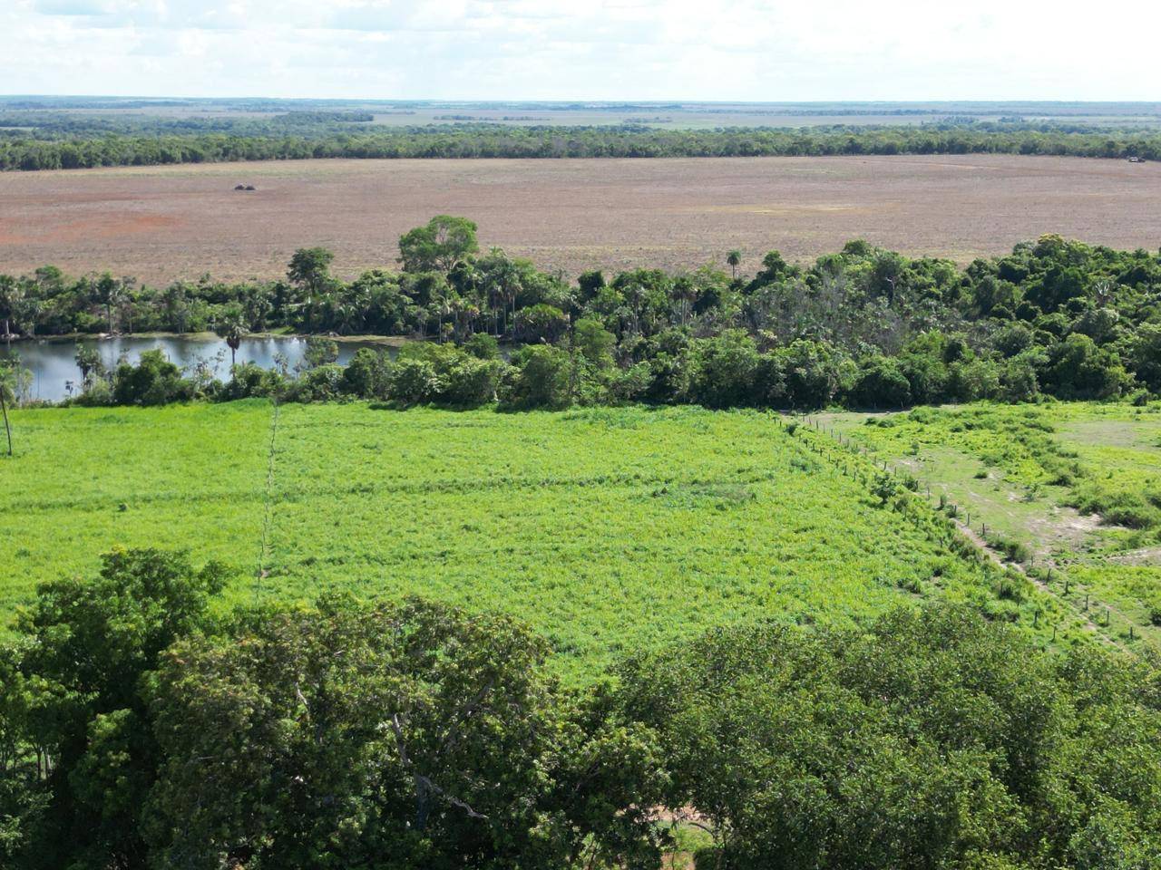 #611 - Fazenda para Venda em Santa Rosa do Tocantins - TO