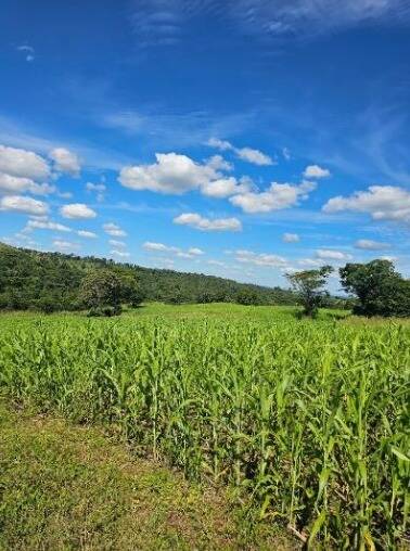 #637 - Fazenda para Venda em Itapirapuã - GO