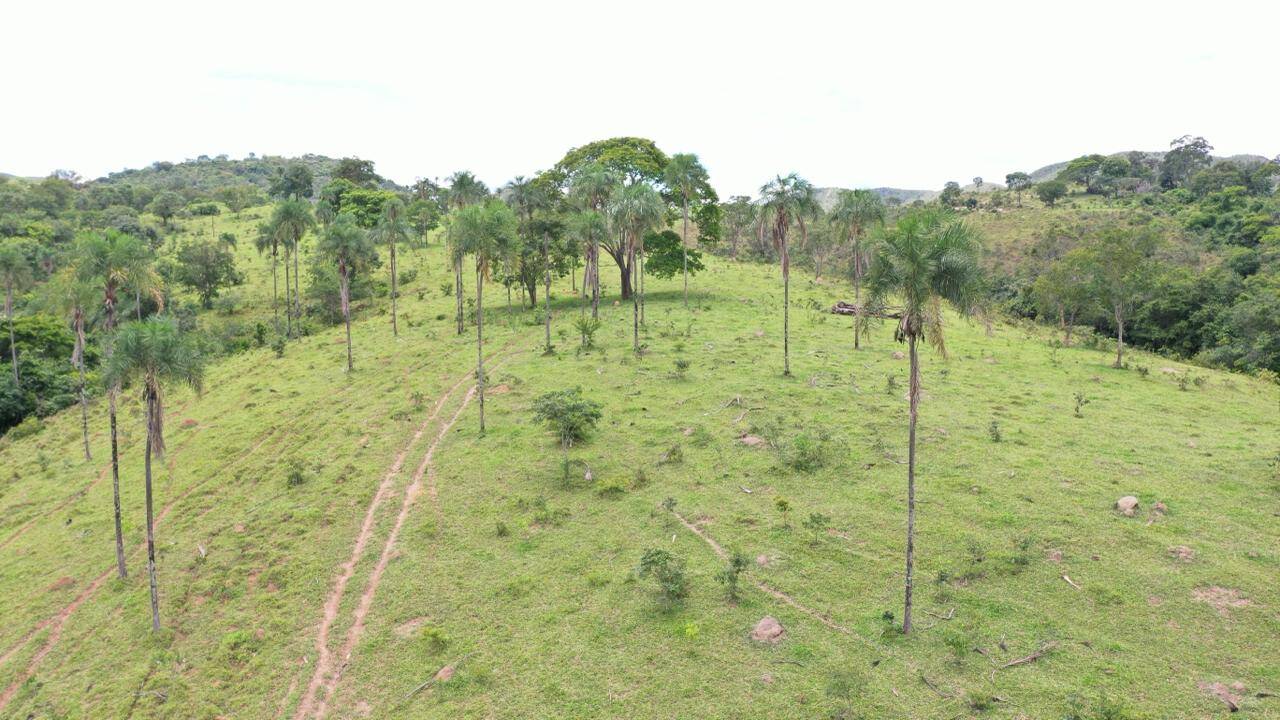 #641 - Fazenda para Venda em Padre Bernardo - GO