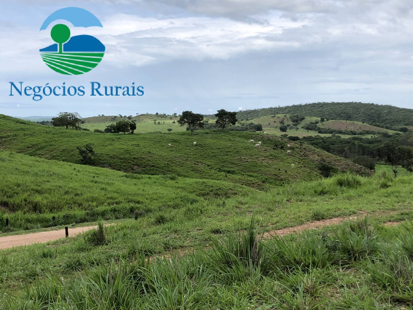 #642 - Fazenda para Venda em Formoso - GO