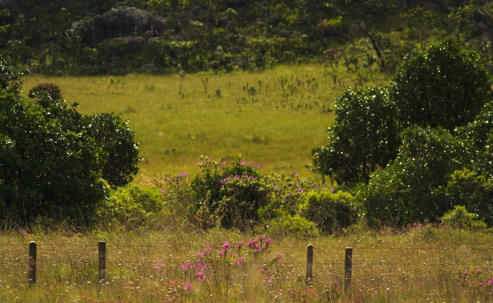#648 - Fazenda para Venda em Alto Paraíso de Goiás - GO