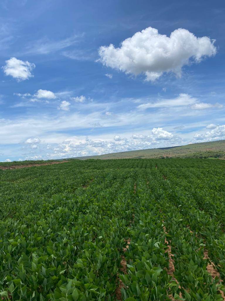 #649 - Fazenda para Venda em Alvorada do Norte - GO
