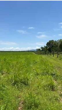 #655 - Fazenda para Venda em São Valério da Natividade - TO