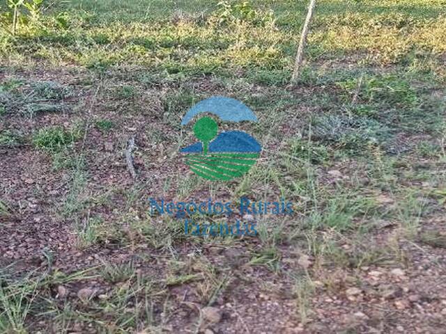 Fazenda para Venda em Hidrolina - 2