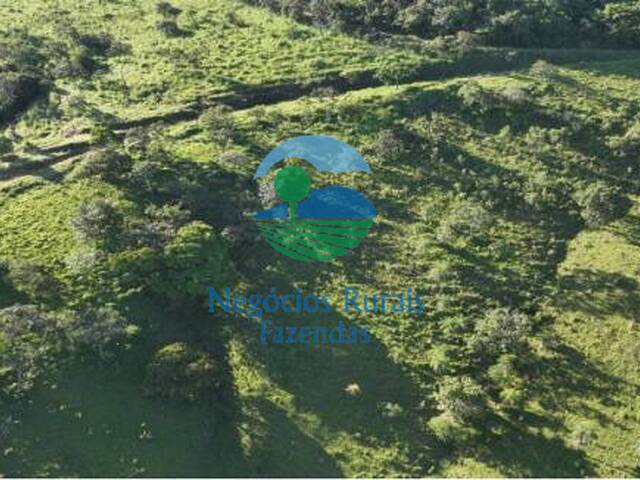 Fazenda para Venda em Hidrolina - 3