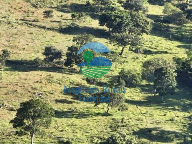 Fazenda para Venda em Hidrolina - 5