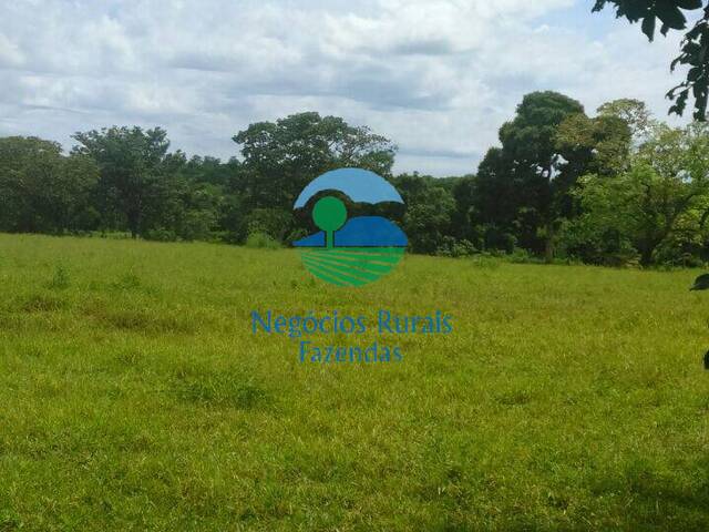 Fazenda para Venda em Campinorte - 2