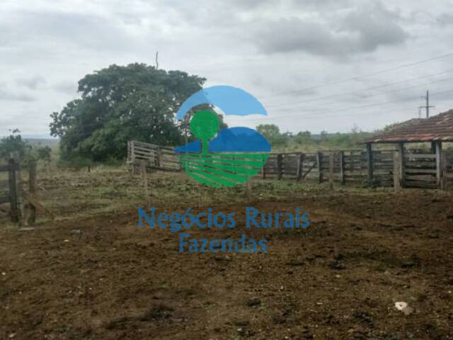 #34 - Fazenda para Venda em Uruaçu - GO - 2