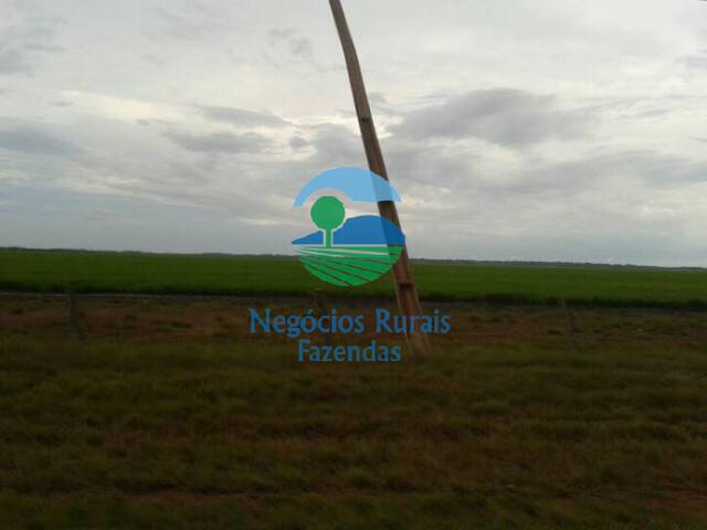 Fazenda para Venda em Belém - 3