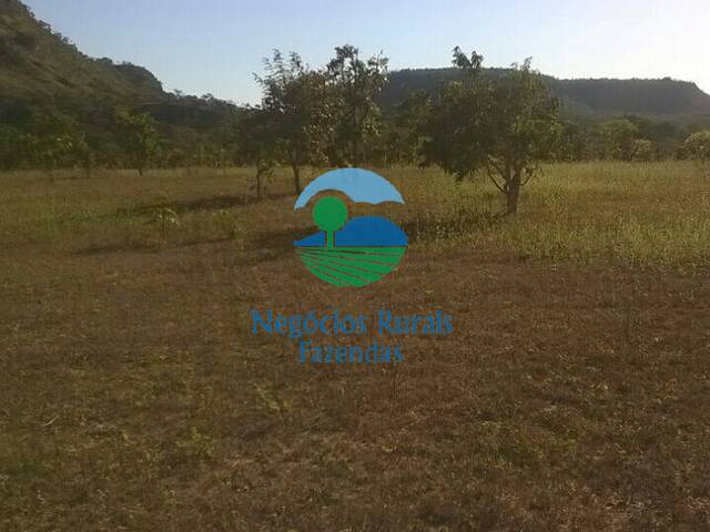 Fazenda para Venda em Balsas - 4