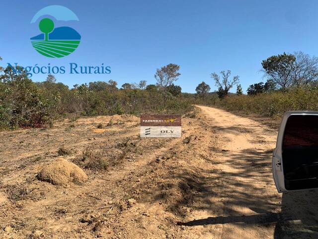 #106 - Fazenda para Venda em Uruaçu - GO - 1