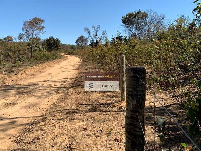 #106 - Fazenda para Venda em Uruaçu - GO - 2