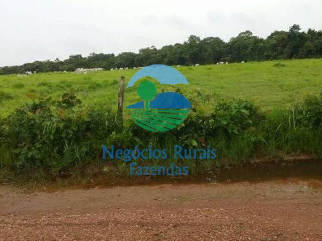 #40 - Fazenda para Venda em Araguacema - TO - 1