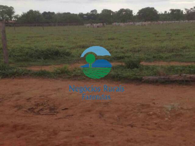 Fazenda para Venda em Araguacema - 3