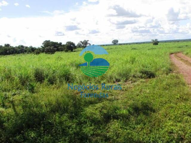 Fazenda para Venda em Araguacema - 4
