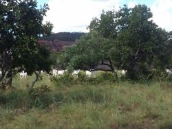 Fazenda para Venda em Bom Jesus - 1