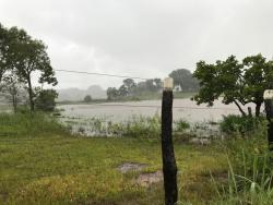 #72 - Fazenda para Venda em Palmeirópolis - TO - 3