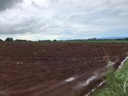 #72 - Fazenda para Venda em Palmeirópolis - TO - 1