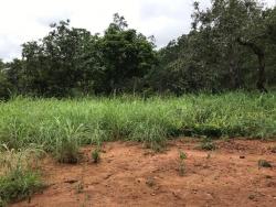 #73 - Fazenda para Venda em Palmeirópolis - TO - 3